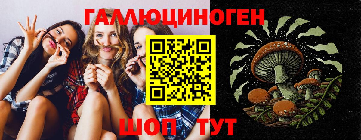 Галлюциногенные грибы ЛСД Дмитров