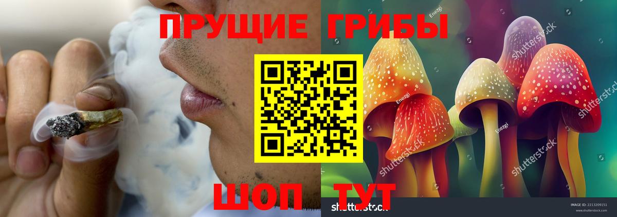 Дмитров  Псилоцибиновые грибы мицелий  Вход с VPN 